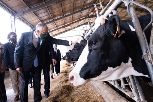 Visita à Sociedade Agrícola Carreira Gonçalves, em Esposende  Créditos: © Rui Ochoa / Presidência da República